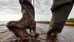 Ropná katastrofa v Mexickém zálivu